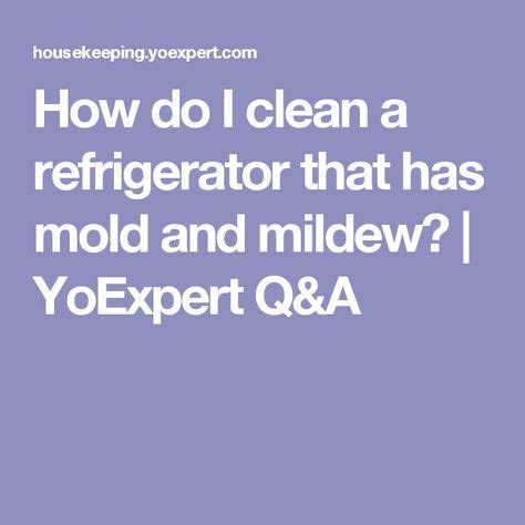 clean  refrigerator   mold  mildew yoexpert qa