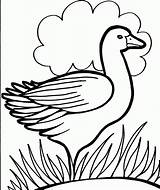 Coloring Pages Colouring Kids Duck Print Color Printable Online Drawing Duckling Dippy Bird Pre School 321coloringpages Activity Animal Viewing Use sketch template