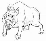 Boar Pig Doodle sketch template