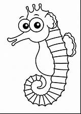 Seahorse Realistic Drawing Getdrawings Coloring sketch template