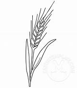 Wheat Communion Coloring First Template sketch template
