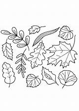 Ausmalbilder Herbst Blaetter Herunterladen Oder sketch template