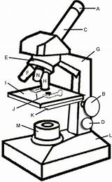 Microscope Coloring Parts Color Worksheets Prevent Slipping Stage Slide sketch template