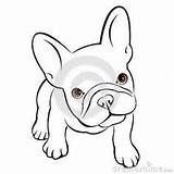 Bulldog Puppy Drawing Dog French Cute Frances Dibujo Drawings Illustration Coloring Easy Pages Husky Puppies Draw Perros Cartoon Cachorro Dibujos sketch template