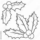 Berry Sprigs Holly Vector Coloring Book Shutterstock Comp Contents Similar Search sketch template