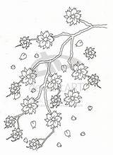 Blossom Blossoms Flower Trees Paizontravels Tattoos sketch template