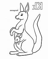 Kangaroo Coloring Cute Baby Pages Drawing Kids Kangaroos Getdrawings Printable Getcolorings sketch template