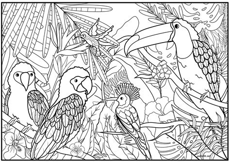 awesome pict exotic bird coloring pages tropical birds coloring