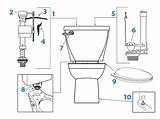Cadet Toilet Parts Standard American Repair Toilets Tank Series Diagram sketch template