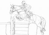 Springen Paarden Kleurplaat Lineart sketch template