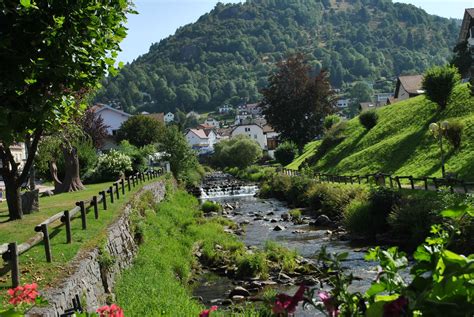 nature  image nature vosges