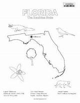 Kids Florida Coloring Fun Pages Activities Facts Worksheets Squared Teaching State sketch template
