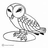 Owl Eule Eulen Hantu Burung Mewarnai Owls Sowa Kolorowanki Ausmalbilder Ausmalbild Sowy Weise Dzieci Ptaki  Wydrukowania Kategorien sketch template