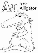 Alligator Preschool Letters Everfreecoloring Coloringareas sketch template