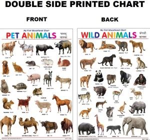 side printed pet  wild animals charts  kids learn