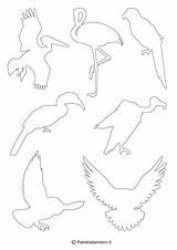 Uccelli Sagome Colorare Ritagliare Bambini Pianetabambini sketch template