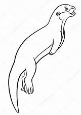 Otter Lontra Swims Kleurplaten Schattige Zwemt Stockillustratie Mayka sketch template