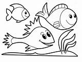 Coloring Rainbow Fish Getcolorings Pages sketch template