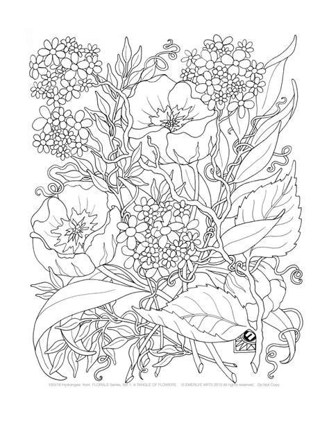 coloring pages  adults   print  adult