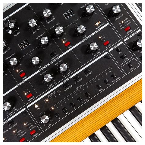 moog  polyphonic analog synthesizer  voice gearmusic