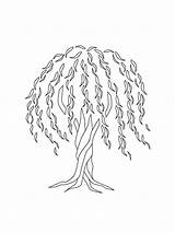 Willow Weeping Trees Draw Saule Arbre Symbolism Arbres sketch template