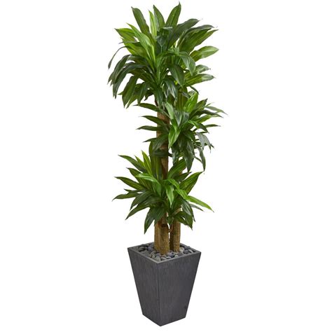 natural real touch  ft indoor cornstalk dracaena artificial plant  slate planter