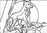 Wolf Coloring Pages Howling Wolves Moon Baby Print Printable Color Grey Link Theme Cute Getcolorings Getdrawings Minecraft Anime Colorings Book sketch template