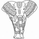 Elephant Coloring Pages Colouring Head sketch template