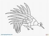 Aboriginal Pages Coloring Colouring Bowerbird Rainbow Dot Printable Drawing Animals Ray Fish Template Kids Getdrawings Indigenous Weird Elegant Colorings Print sketch template