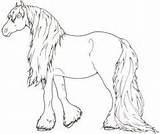 Haflinger Horse sketch template