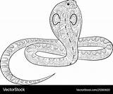 Snake Zentangle sketch template