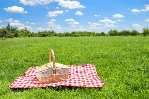 local picnic essentials guide dishing park city
