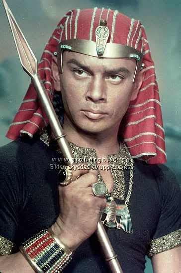 a tribute to yul brynner yul brynner classic films historical movies