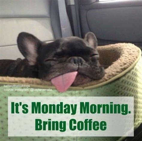 It S Monday Morning Bring Coffee Pictures Photos And