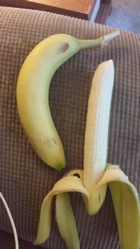 princess mira on twitter curved banana or straight