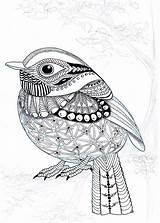 Zentangle Kwok Ben Efie Vogel Oiseau Vogels Drawings Flycatcher Icolor Pigeon Hummingbird Uitprinten Colibri Zentangles Graphique Odwiedź Gå Downloaden sketch template