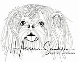 Shih Tzu sketch template