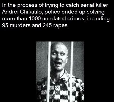 process oftrying  catch serial killer andrei chikatilo police ended  solving