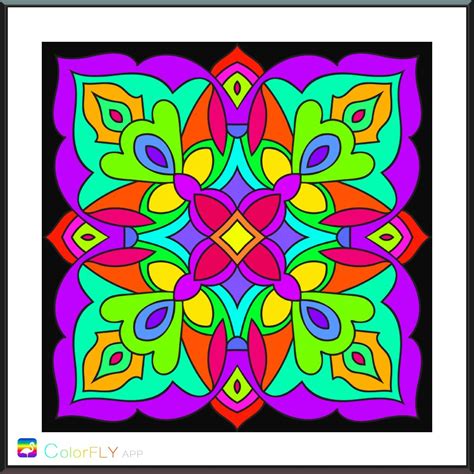coloring colorfly color fly colorful pictures color therapy
