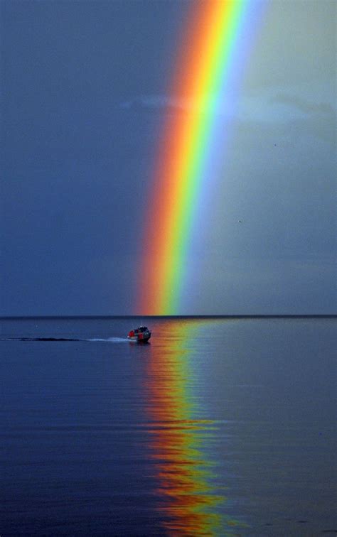 pftw rainbow