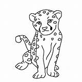 Cheetah Coloring Baby Pages Cute Cub Drawing Kids Printable Face Print Color Draw Getdrawings Animals Netart Getcolorings Popular sketch template