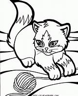 Coloring Kitten Puppy Pages Realistic Popular sketch template