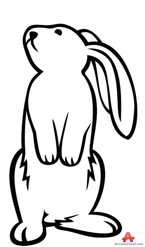 bunny outline    clipartmag