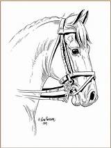 Dressage Lena Furberg Pferde Zeichnen Ausmalbilder Ausmalen Pferd Pferdekopf Coloriage Cheval Pferdebilder Vorlagen Mandalas Visiter sketch template