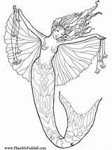 Mermaid Coloring Pages Fairy Mermaids Adult Detailed Adults Fantasy Princess Sirene Print Colouring Mcfaddell Phee Color Dessin Nene Thomas Pheemcfaddell sketch template