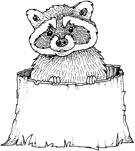 coloring page   raccoon coloring home