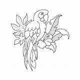 Macaw sketch template