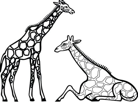 giraffe drawing  kids  getdrawings