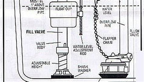replace  toilet fill valve homesteady