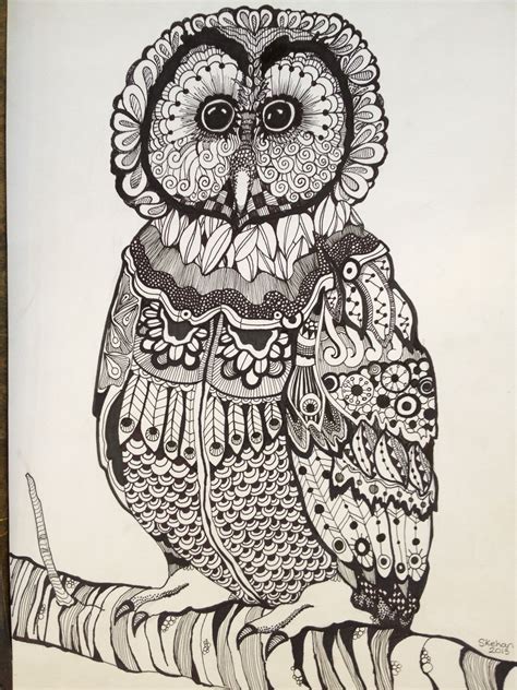 image  zentangle art owls drawing drawings